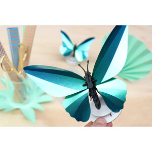 DIY kit - birdwing butterfly