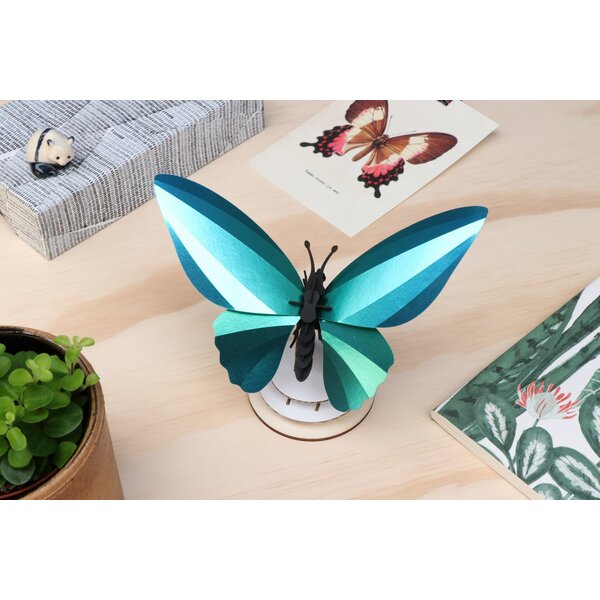 DIY kit - birdwing butterfly