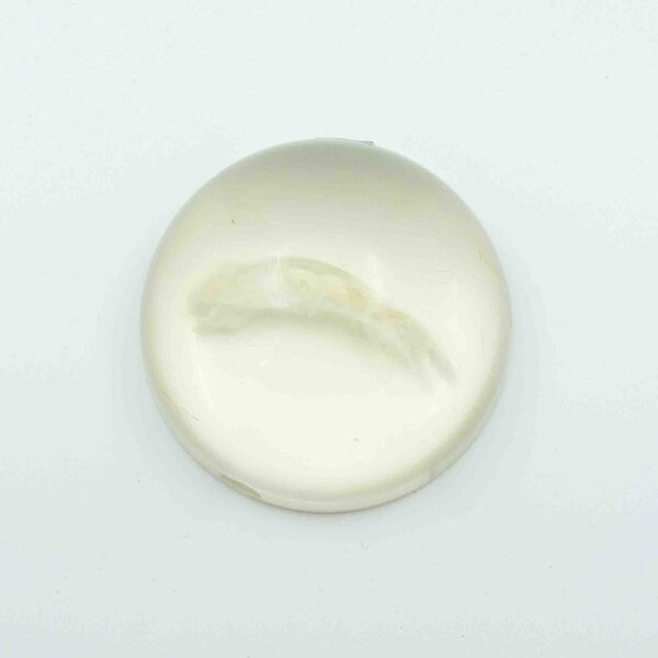 Ronde erosie preparaten - resin