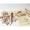 Leopard bones (complete skeleton)