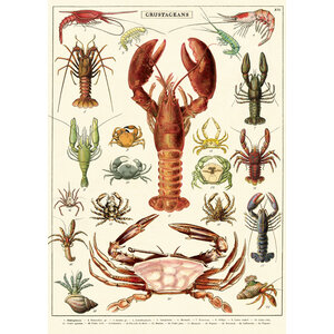 School poster - crustaceans