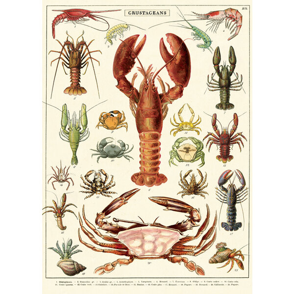 School poster - crustaceans