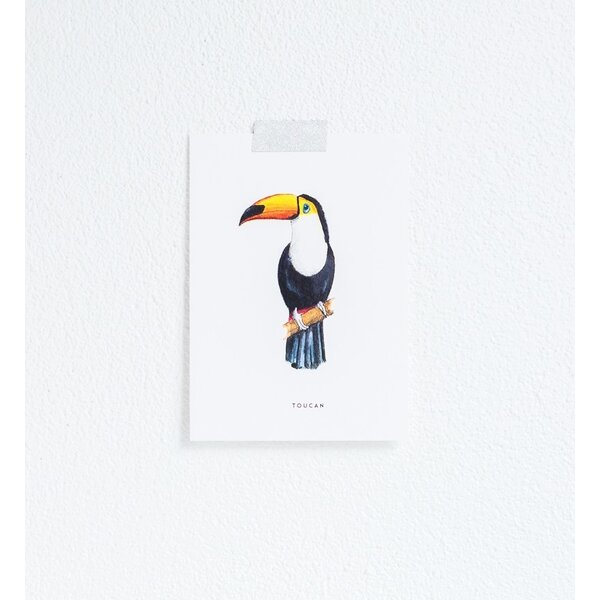 Postcard - Toucan