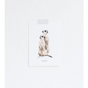 Postcard - Meerkats