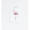 Ansichtkaart - Flamingo