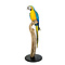 Mounted Blue-and-yellow macaw