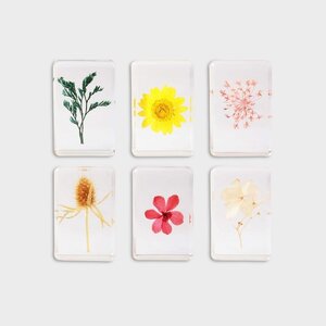 Wildflower in resin