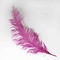 Ostrich feather darkpink 70 cm