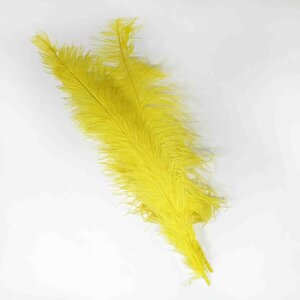 Ostrich feather yellow 50 cm