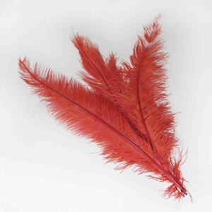 Ostrich feather red 40-50 cm