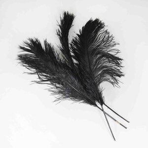 Struisvogel veer zwart 40 cm