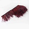 Feather garland Common ostrich - black/red