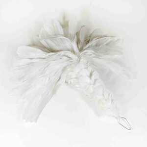 Plume Rooster - white large