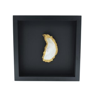 Oyster in elegant frame