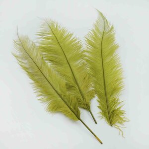 Ostrich feather olive green 50 cm