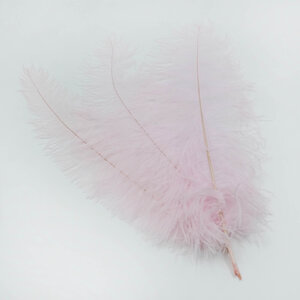 Struisvogel veer licht roze 60 cm