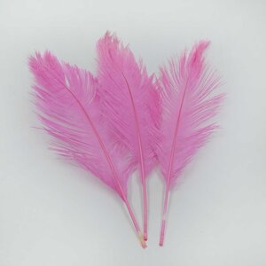 Struisvogel veer roze 30 cm