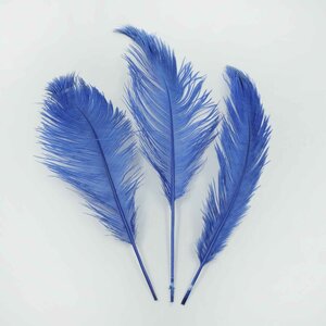 Straußvogel federn blau 30cm