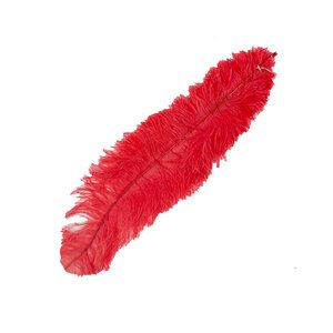 Bundle of ostrich feathers red 5 layers
