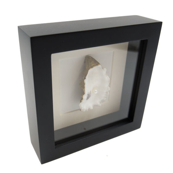 De museumwinkel.com Oyster with pearl in 16 x 16 frame