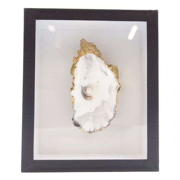 Auster mit Perle im Insektenkasten