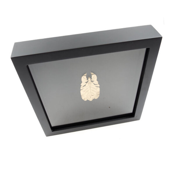 Gouden wandelend blad in elegant zwart houten lijst - Phyllium Celebicum