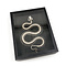 Snake skeleton in elegant box (23 x 30 cm)