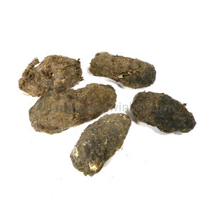 Barn owl pellets (per 5)