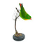 Mounted hanging parrot (B)