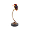 Mounted Oriental dwarf kingfisher (A)