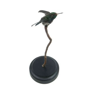 Mounted antique hummingbird (D)