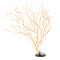 Yellow sea fan on wooden base