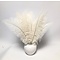 Ostrich feather creme 40-50 cm