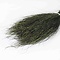 Peacock feather threads 30 cm bundle