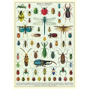 Schoolplaat - Insecten