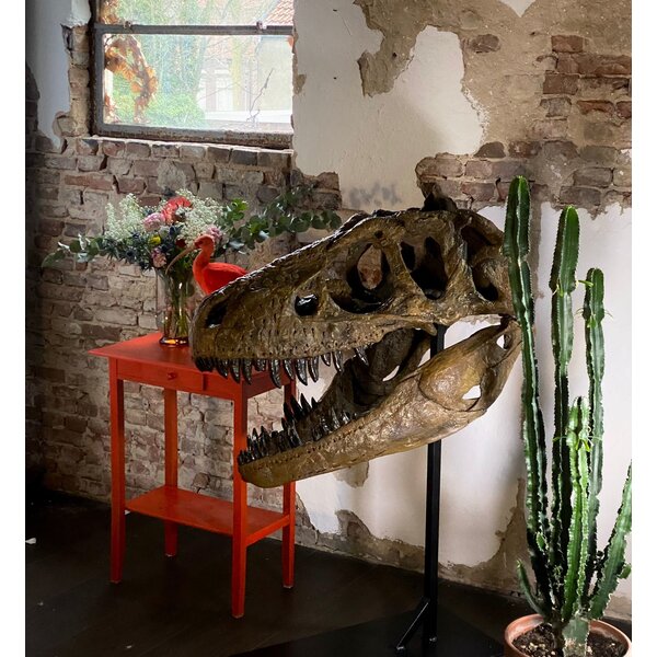 Schädel Daspletosaurus  (Replik)