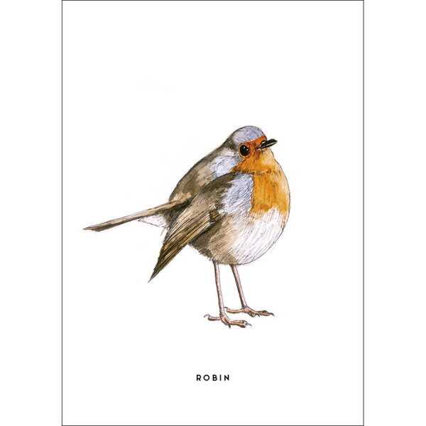 Postcard Robin