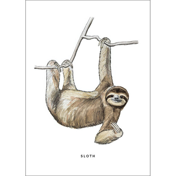 Postkarte -  Sloth