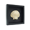 Golden Mediterranean scallop in elegant frame