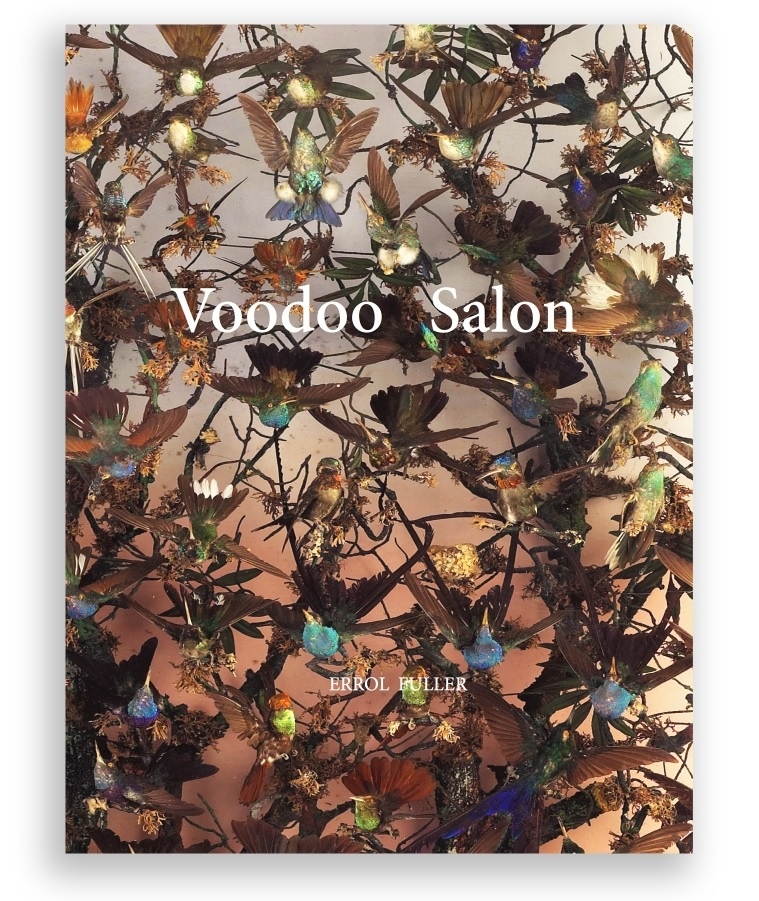 Voodoo Salon by Errol Fuller