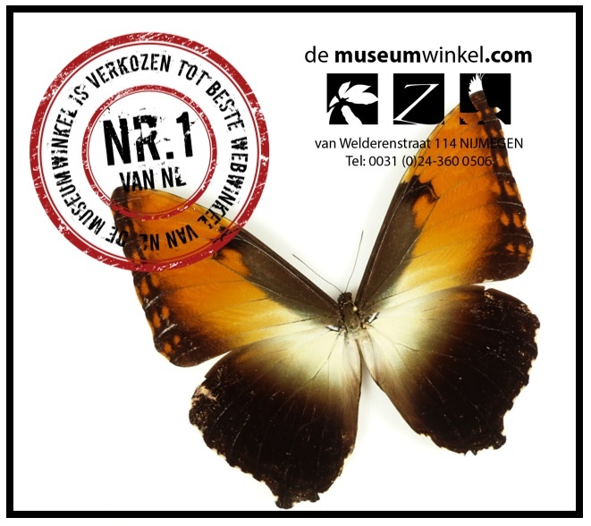 Best of the Netherlands!