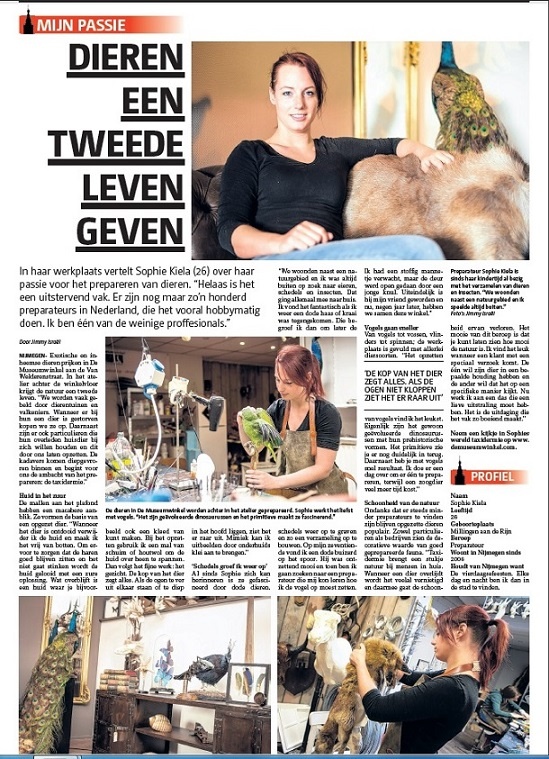 Our taxidermist Sophie Kiela in the news paper