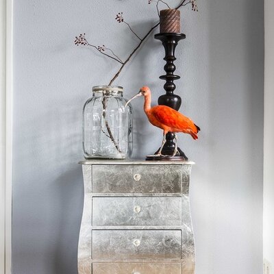 Taxidermy in your interior