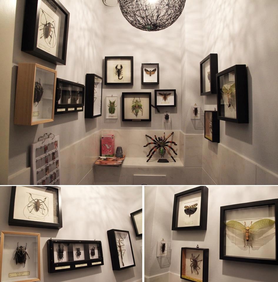 Insects on the toilet