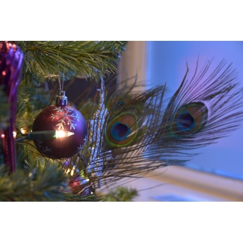 Peacock feathers in the Christmas tree