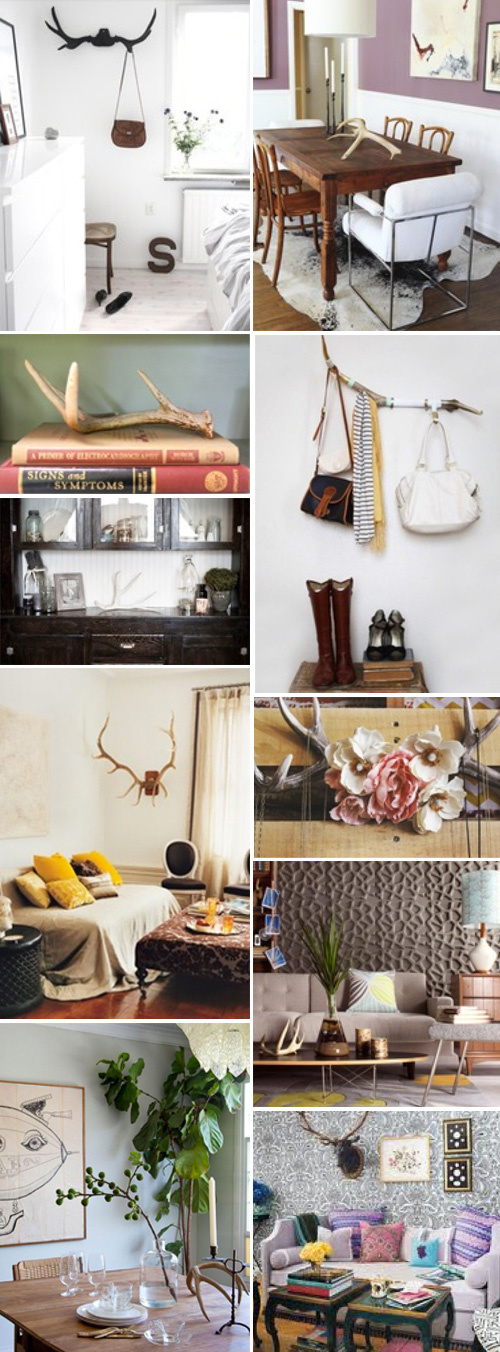 Kreativ mit Hörner und Geweihe