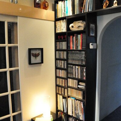 Skulls, insects and mounted animals in your interior