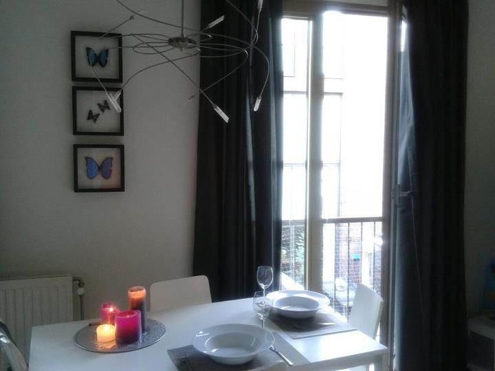 Inspiration - Mounted butterflies in the interior - DeMuseumwinkel.com