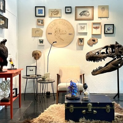 A dinosaur skull in  your interior! It is posssible!