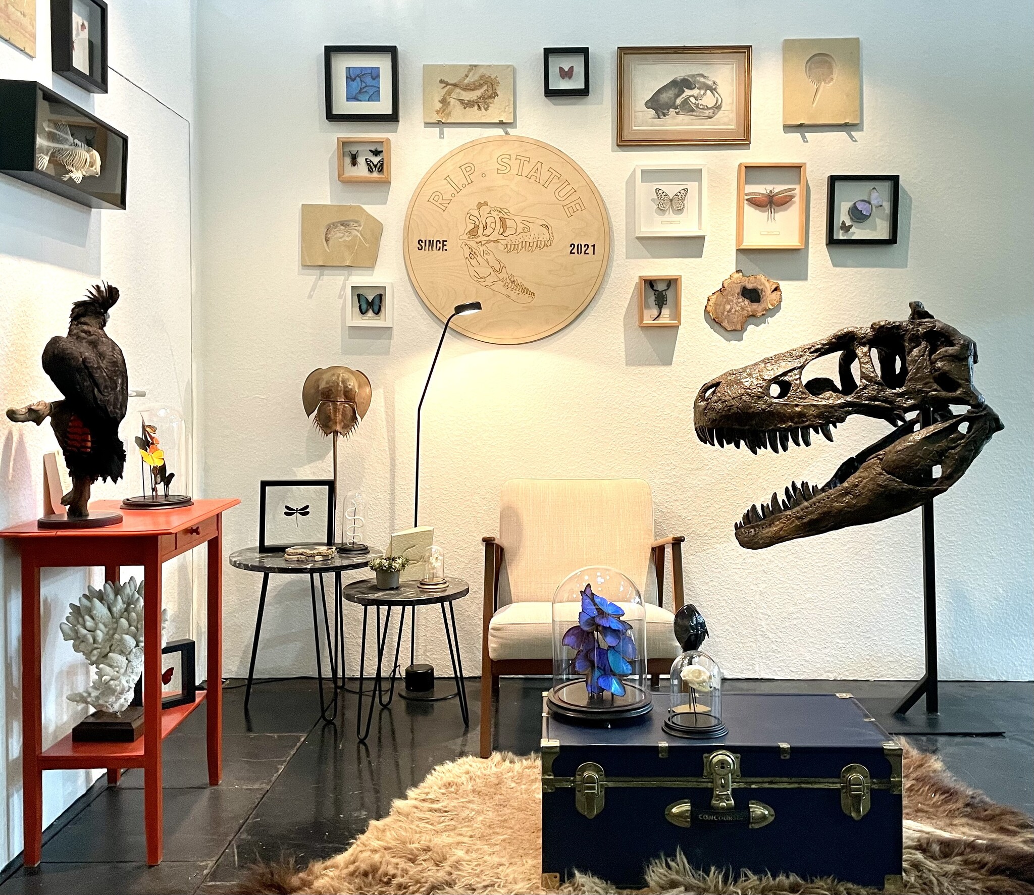 A dinosaur skull in  your interior! It is posssible!